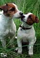 Inka & Pyry pellolla